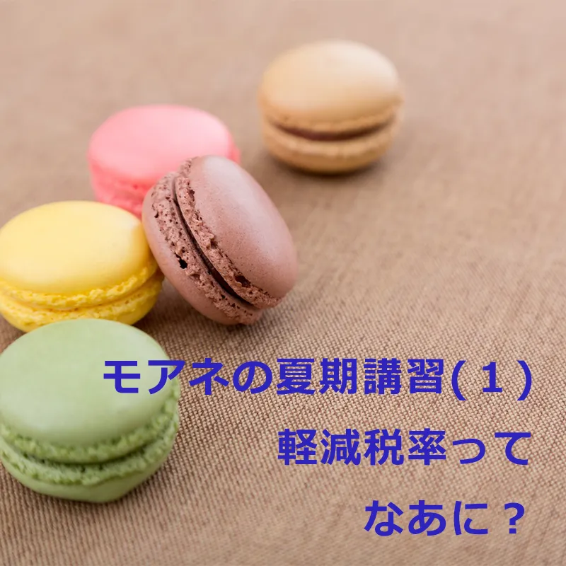 モアネの夏期講習(１)軽減税率ってなあに？